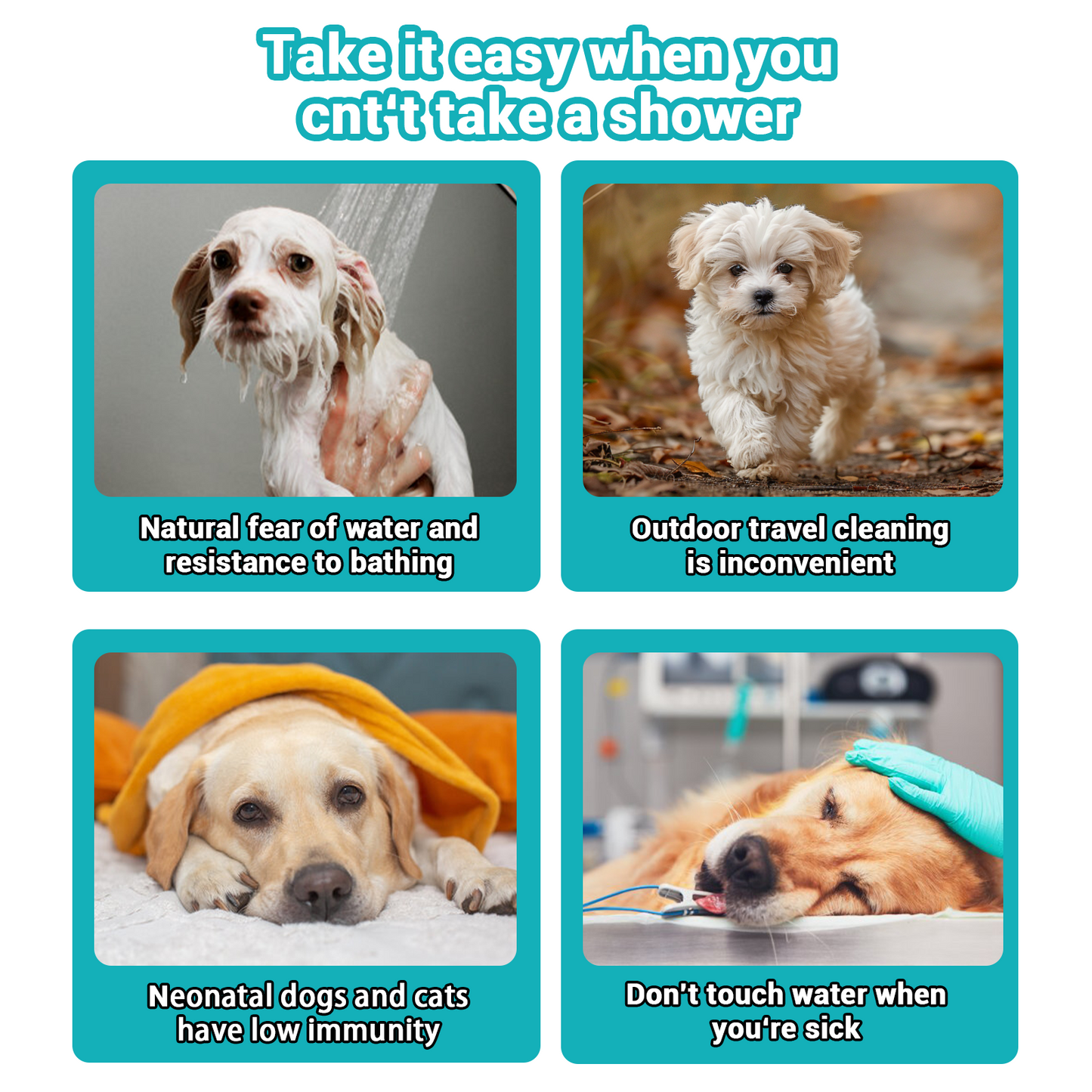 đ Letzter Tag: 49âŻ% RABATT! đ«§ Sanfte Reinigungshandschuhe fĂŒr Haustiere â ganz ohne AusspĂŒlen!