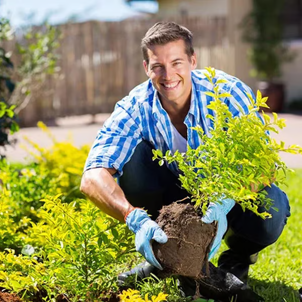 🏔️Sparen Sie 50%! 🌱 Blühende Erde – mit ECOCERT-Power🔔 Verbessern Sie Ihren Boden JETZT