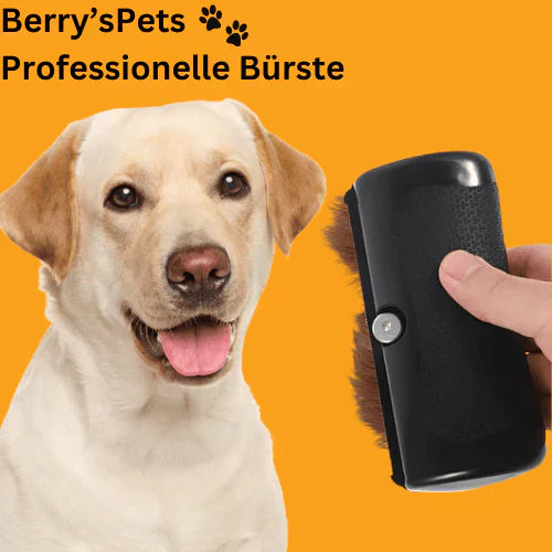 💥Hot Sale 50% Rabatt🐕Pet Professional Bürste