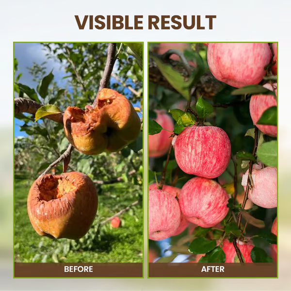 🏔️Sparen Sie 50%! 🌱 Blühende Erde – mit ECOCERT-Power🔔 Verbessern Sie Ihren Boden JETZT