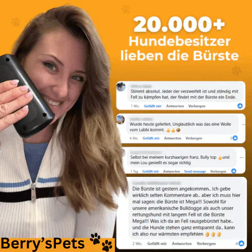 💥Hot Sale 50% Rabatt🐕Pet Professional Bürste