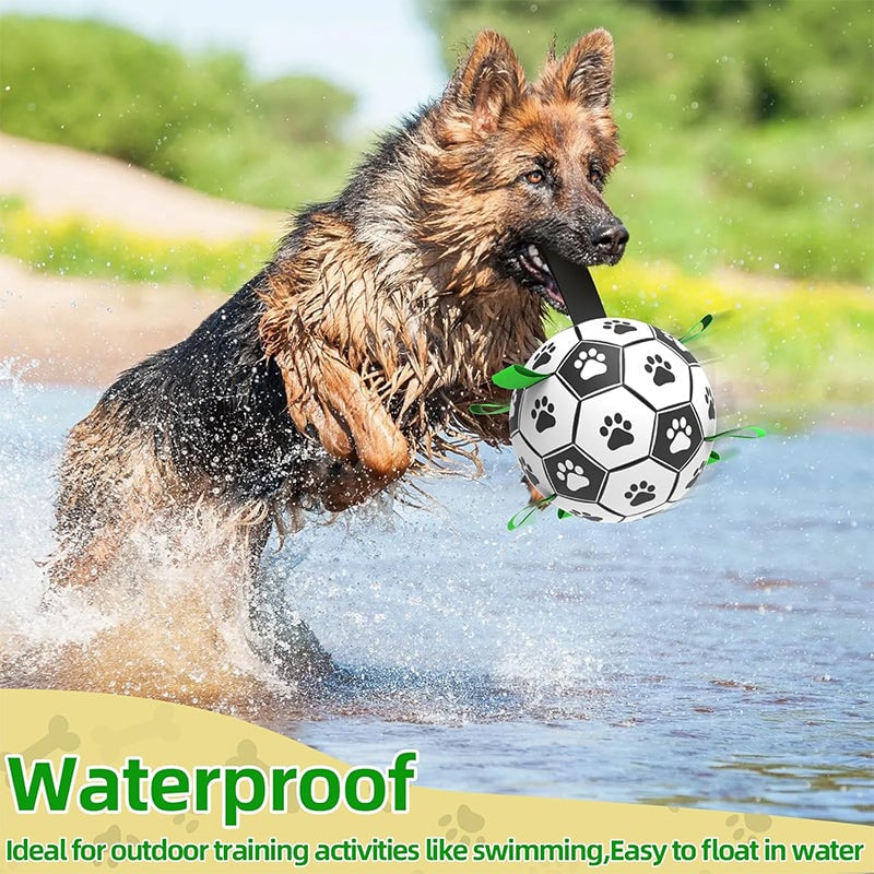 Multifunktionales interaktives Seil-Hundefußballspielzeug für draußen