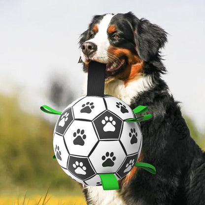 Multifunktionales interaktives Seil-Hundefußballspielzeug für draußen