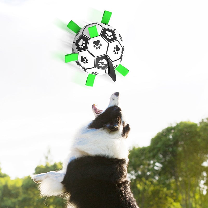 Multifunktionales interaktives Seil-Hundefußballspielzeug für draußen