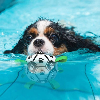 Multifunktionales interaktives Seil-Hundefußballspielzeug für draußen