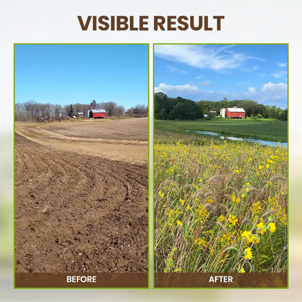 🏔️Sparen Sie 50%! 🌱 Blühende Erde – mit ECOCERT-Power🔔 Verbessern Sie Ihren Boden JETZT