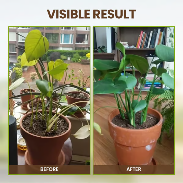 🏔️Sparen Sie 50%! 🌱 Blühende Erde – mit ECOCERT-Power🔔 Verbessern Sie Ihren Boden JETZT