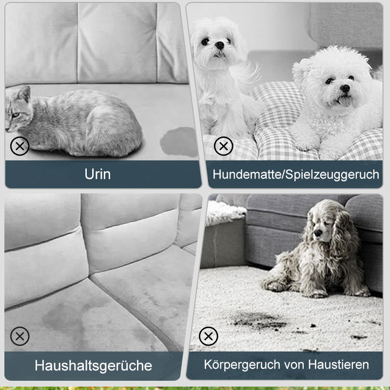 Geruchsentferner-Spray für Haustiere🐕🌟