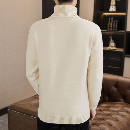 ✈️ Kostenlose Lieferung - 🔥Warmer Rollkragenpullover für Herren
