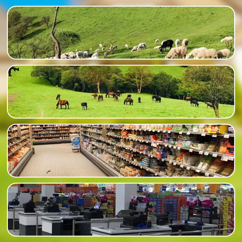 🎁2024 Neue Aktualisierungen✨🎥Solarbetriebene Fernüberwachungskamera