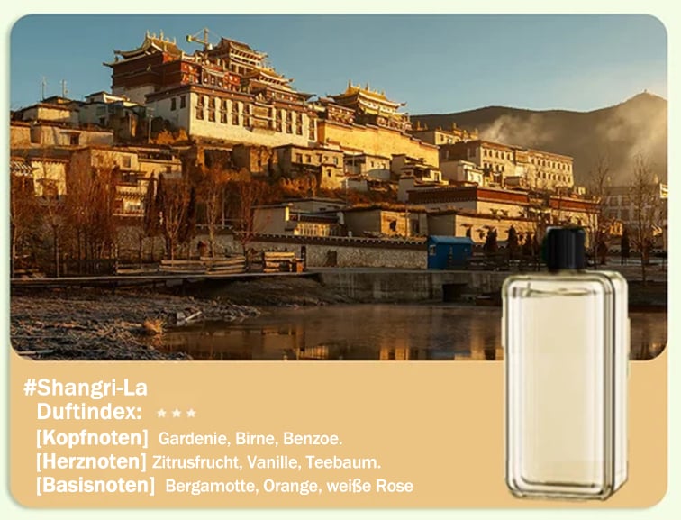 🔥🌸Limit 49% Rabatt 🔥Automatischer Aromatherapie Diffusor（Großes Angebot）