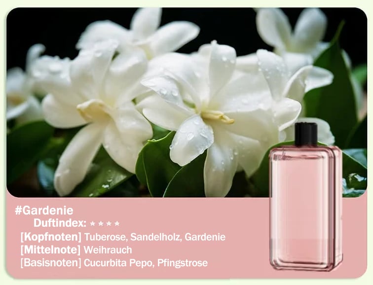 🔥🌸Limit 49% Rabatt 🔥Automatischer Aromatherapie Diffusor（Großes Angebot）