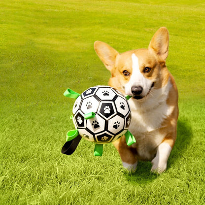 Multifunktionales interaktives Seil-Hundefußballspielzeug für draußen