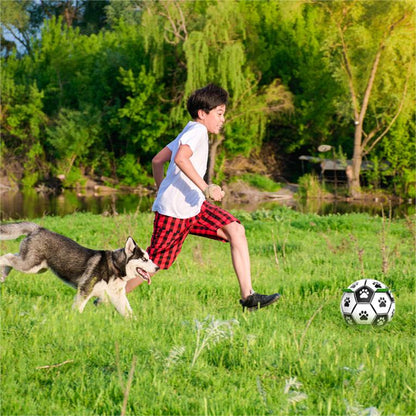 Multifunktionales interaktives Seil-Hundefußballspielzeug für draußen