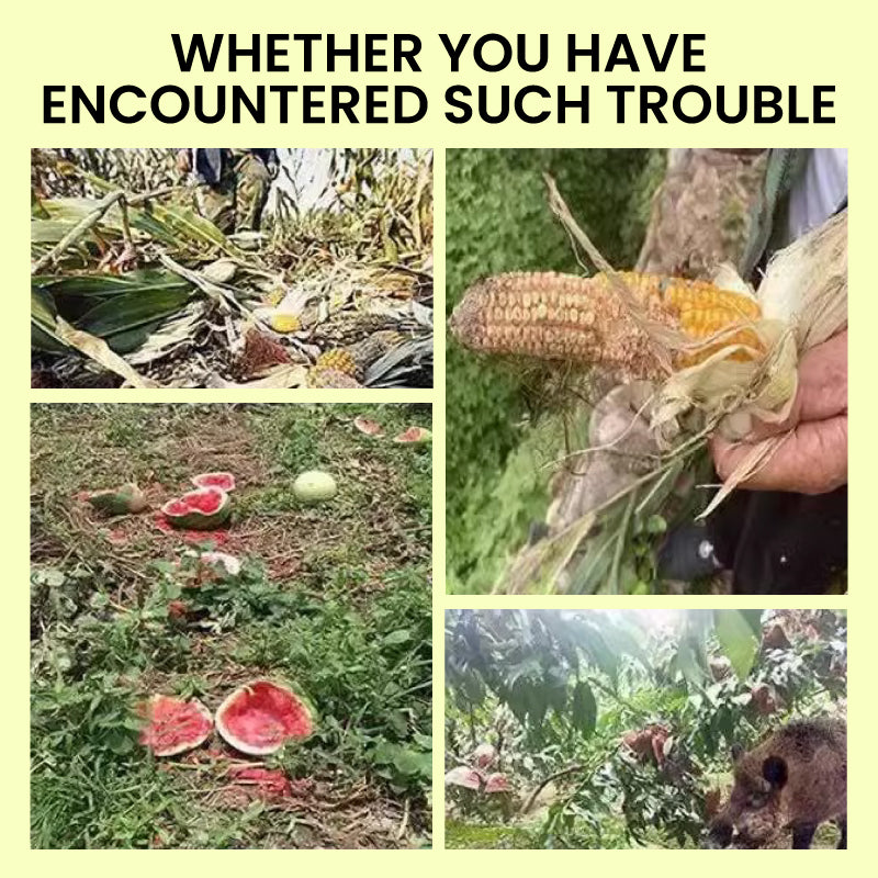 🚫🚨Solarbetriebene Tierabwehr-Warnlichter mit lautem Alarm🐨