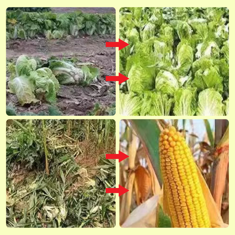 🚫🚨Solarbetriebene Tierabwehr-Warnlichter mit lautem Alarm🐨