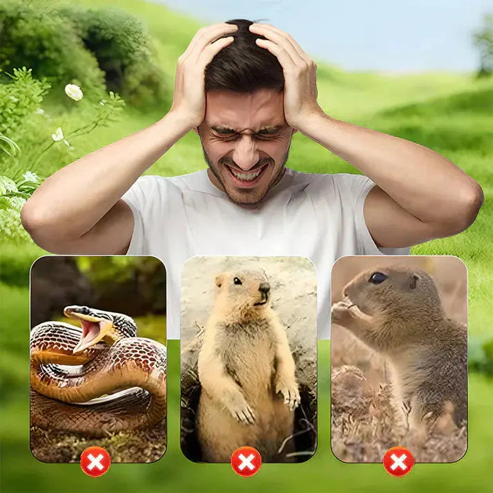 ⏰ 50 % Rabatt! ☀️💧 Gerät zur Abwehr von Insekten und Mäusen – Solarenergieversorgung! 🐭🚫