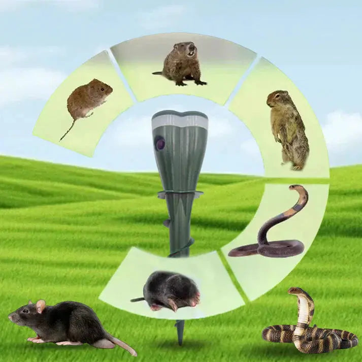 ⏰ 50 % Rabatt! ☀️💧 Gerät zur Abwehr von Insekten und Mäusen – Solarenergieversorgung! 🐭🚫