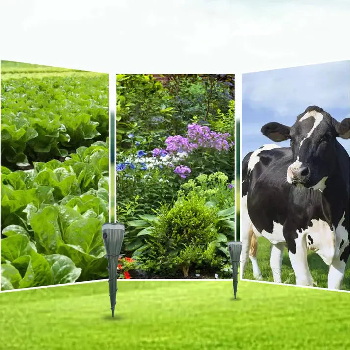 ⏰ 50 % Rabatt! ☀️💧 Gerät zur Abwehr von Insekten und Mäusen – Solarenergieversorgung! 🐭🚫