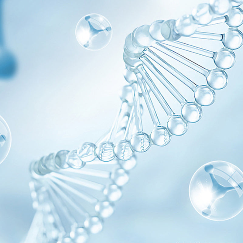 ⌛2025 Neuankömmlinge🚽🏠Neues UV Toiletten Sterilisationslampen Set-Sauber und keimfrei