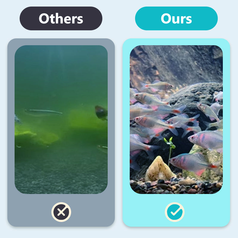 💯🪒Begrenzte Zeit halber Preis - Magnetische Glasreinigungsbürste für das Aquarium