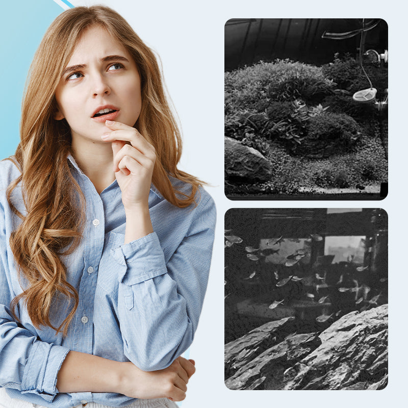 💯🪒Begrenzte Zeit halber Preis - Magnetische Glasreinigungsbürste für das Aquarium