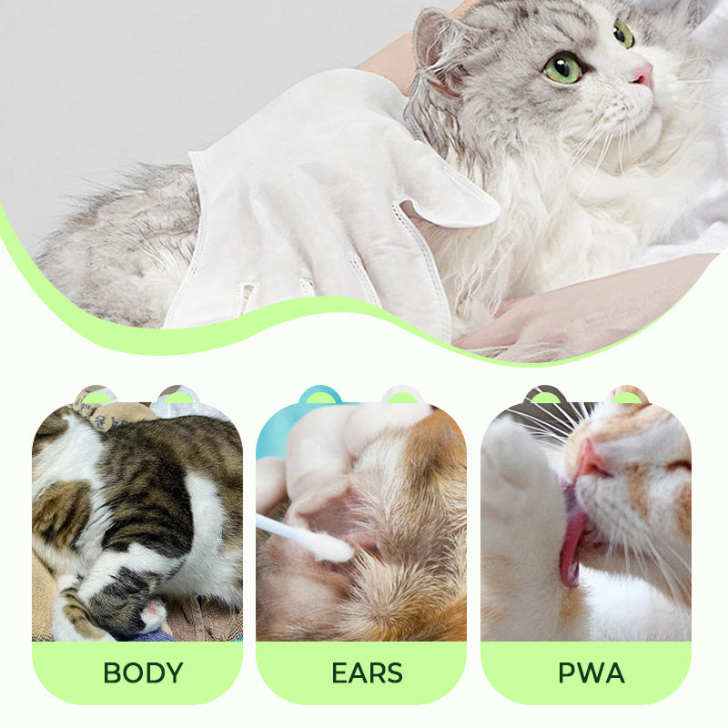 🎉 Letzter Tag: 49 % RABATT! 🫧 Sanfte Reinigungshandschuhe für Haustiere – ganz ohne Ausspülen!