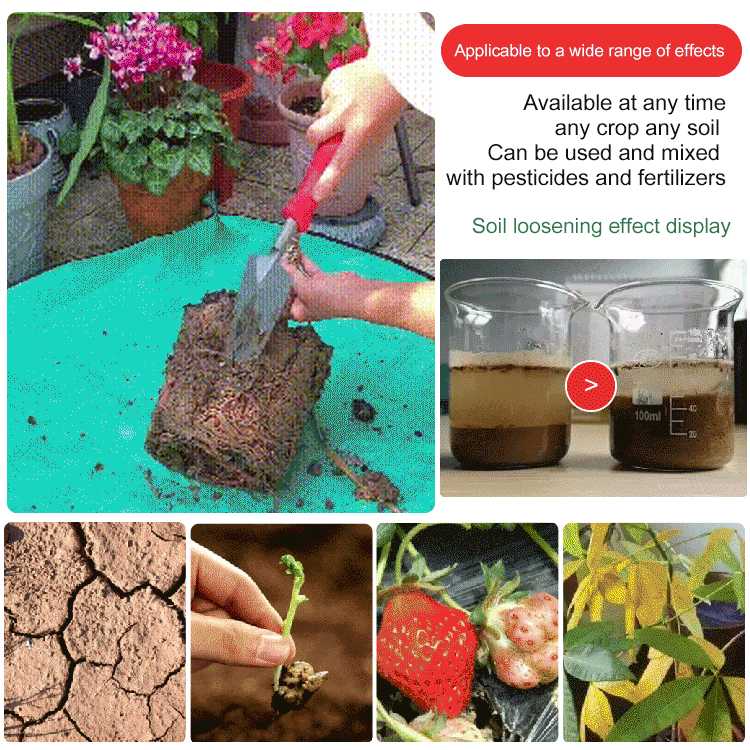 🏔️Sparen Sie 50%! 🌱 Blühende Erde – mit ECOCERT-Power🔔 Verbessern Sie Ihren Boden JETZT