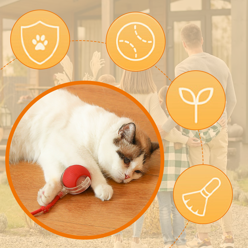 😻🐾Intelligentes zwitscherndes rollendes interaktives Katzenspielzeug Ball