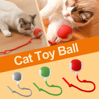 😻🐾Intelligentes zwitscherndes rollendes interaktives Katzenspielzeug Ball