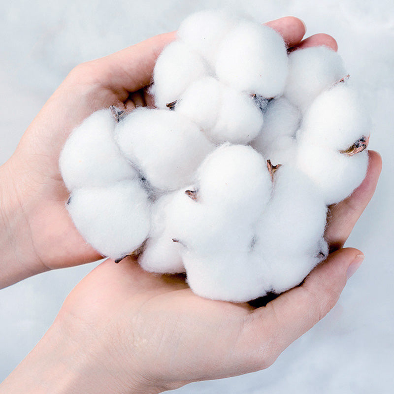 🌟Kaufen Sie 1 und erhalten Sie 1 gratis 💯 Trainingshose aus Baumwolle für Kleinkinder, atmungsaktiv und bequem