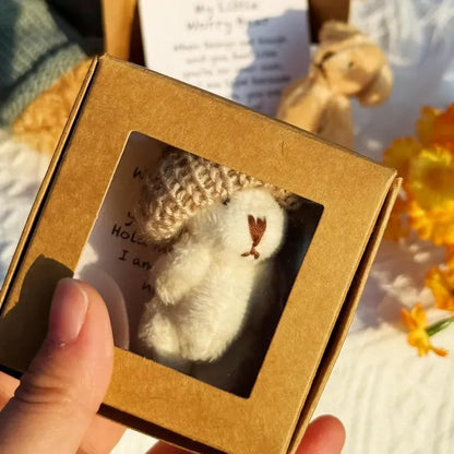 🔥Letzter Tag Sonderpreis-50% Rabatt🎁Handgefertigter Mini-Plüsch-Teddybär in einer Box