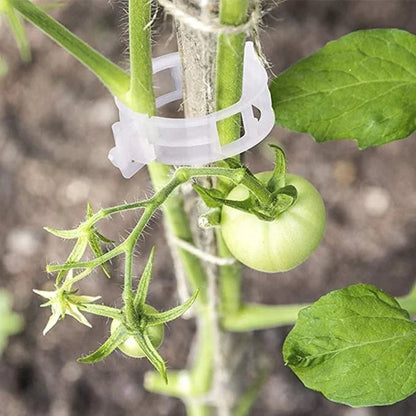 🌱🍅Pflanzenclips für Rankpflanzen – Tomatenhalter & Pflanzenbinder aus Kunststoff