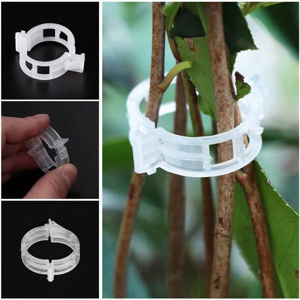 🌱🍅Pflanzenclips für Rankpflanzen – Tomatenhalter & Pflanzenbinder aus Kunststoff