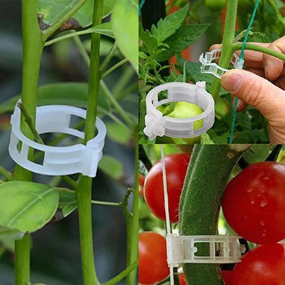🌱🍅Pflanzenclips für Rankpflanzen – Tomatenhalter & Pflanzenbinder aus Kunststoff