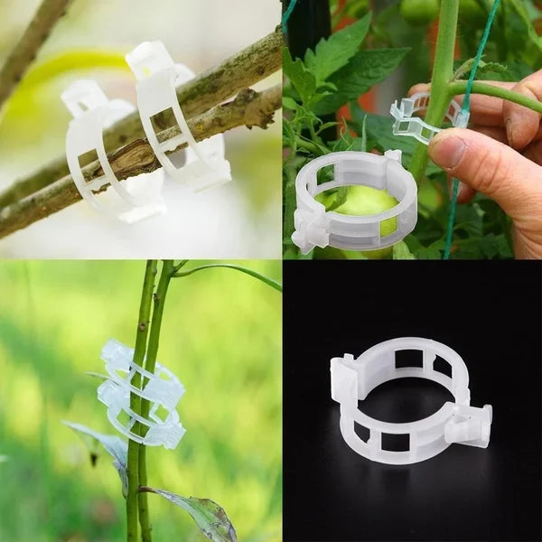 🌱🍅Pflanzenclips für Rankpflanzen – Tomatenhalter & Pflanzenbinder aus Kunststoff