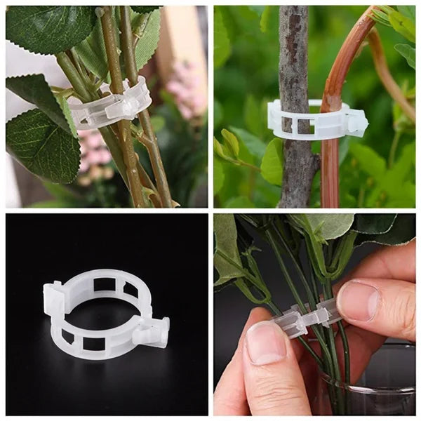 🌱🍅Pflanzenclips für Rankpflanzen – Tomatenhalter & Pflanzenbinder aus Kunststoff