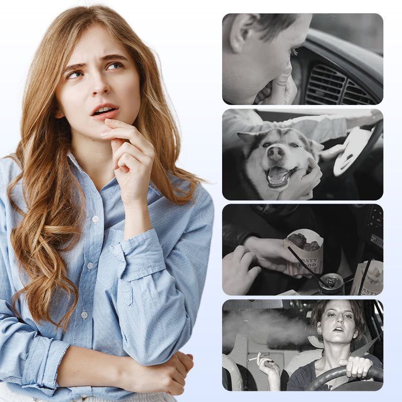 🔥Heißer Verkauf(50% Rabatt)🎉 Limitiertes Einführungsangebot!🎉 Auto-Lufterfrischer mit festem Duftstoff🌿