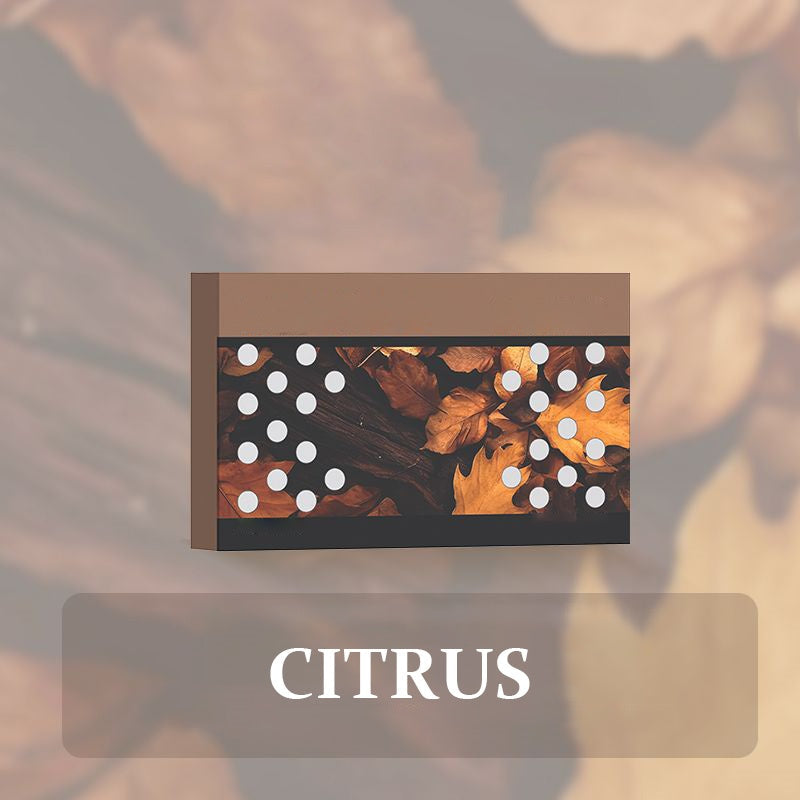 🔥Heißer Verkauf(50% Rabatt)🎉 Limitiertes Einführungsangebot!🎉 Auto-Lufterfrischer mit festem Duftstoff🌿