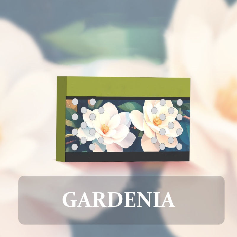 🔥Heißer Verkauf(50% Rabatt)🎉 Limitiertes Einführungsangebot!🎉 Auto-Lufterfrischer mit festem Duftstoff🌿