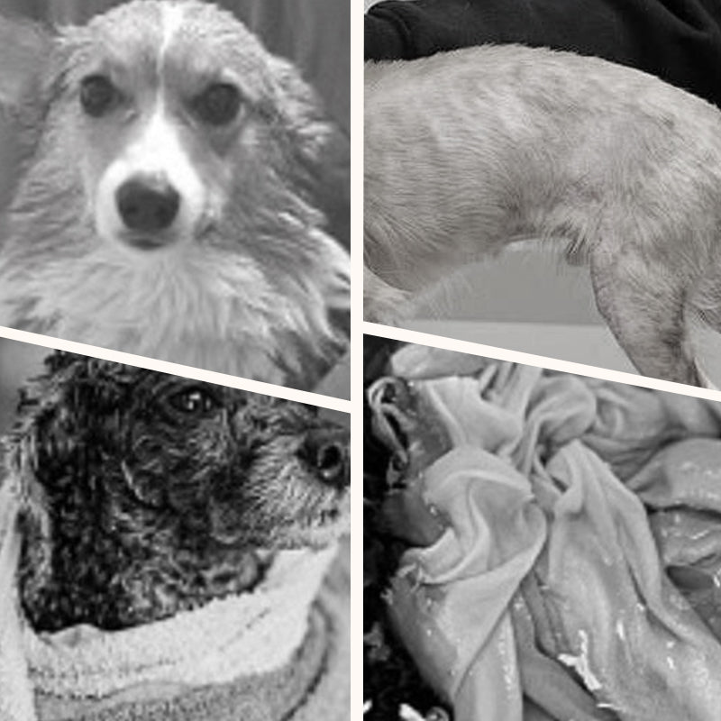 🔥Neujahrsverkauf 50 % Rabatt🐕Weicher, saugfähiger und schnelltrocknender Hundebademantel