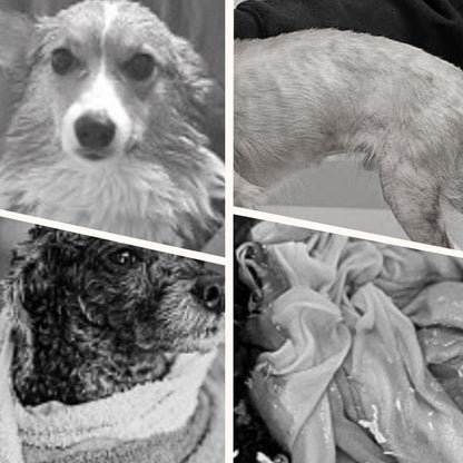 🔥Neujahrsverkauf 50 % Rabatt🐕Weicher, saugfähiger und schnelltrocknender Hundebademantel