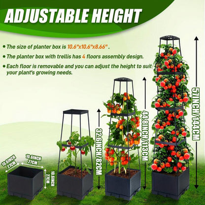 ⏳Limitiertes 50 % Rabatt⏰Selbstbewässerndes Tomaten-Pflanzset mit Kletterpflanzenhalter🍅🪴