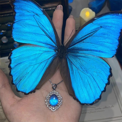🔥Solange der Vorrat reicht 50 % Rabatt!🎉Elegante ovale blaue Halskette mit Anhänger