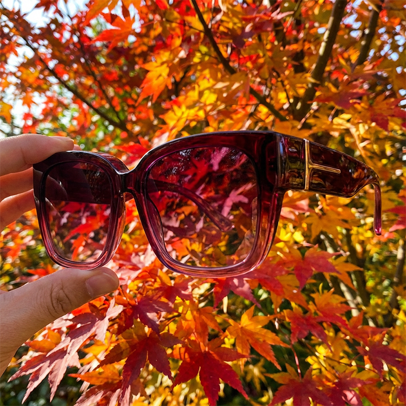 🔥Solange der Vorrat reicht 50 % Rabatt!🎉Stylische polarisierte Sonnenbrille zum Aufsetzen