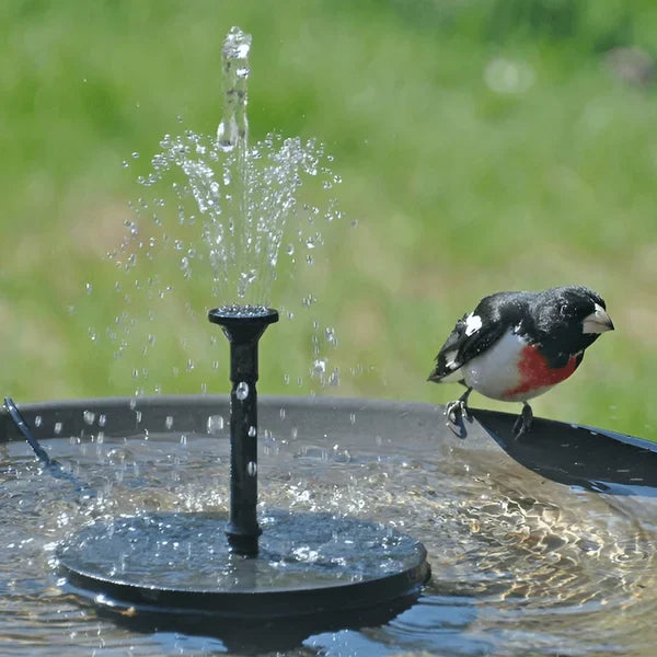 ⏰🔥🔥Solarbetriebener schwimmender Springbrunnen