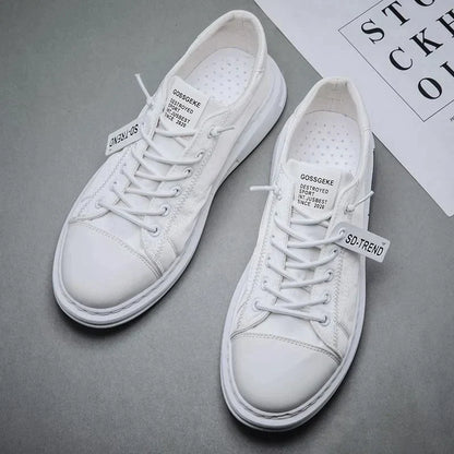 Segeltuch Freizeitschuhe Mnner Board Schuhe