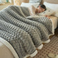 🎊[Warmes Geschenk] Warme, dicke Flanelldecke (50 % RABATT)