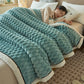 🎊[Warmes Geschenk] Warme, dicke Flanelldecke (50 % RABATT)
