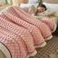 🎊[Warmes Geschenk] Warme, dicke Flanelldecke (50 % RABATT)